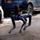 spot perro robot nueva york
