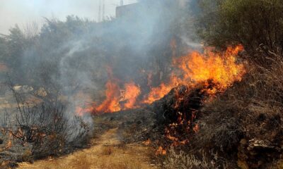 argelia incendio forestal