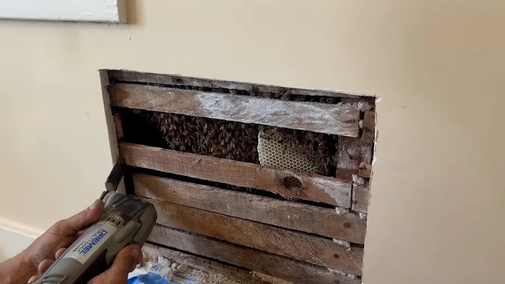pared casa abejas