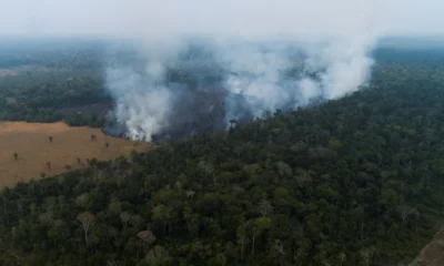 Amazonas incendios