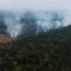 Amazonas incendios