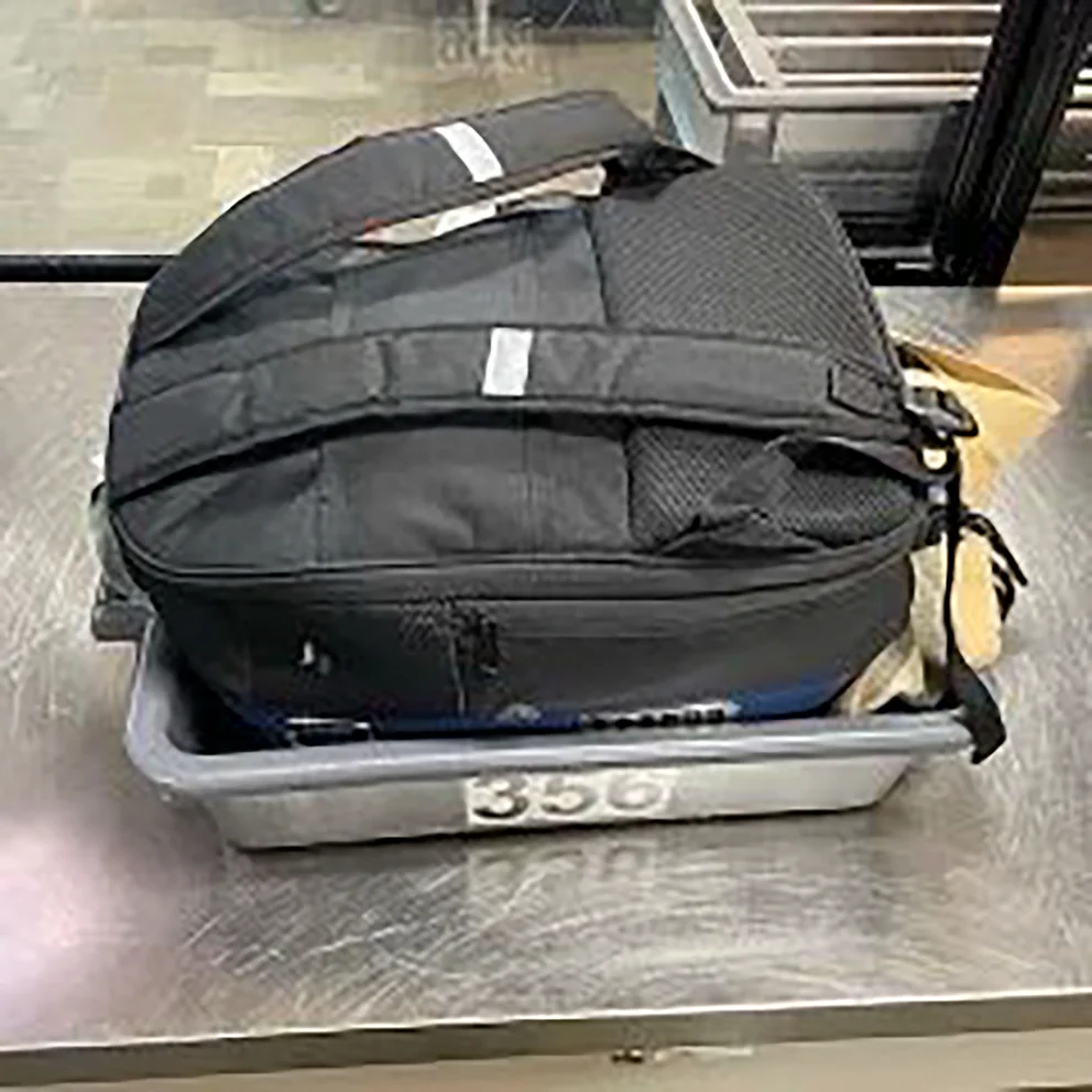 pasajero viajar perro equipaje