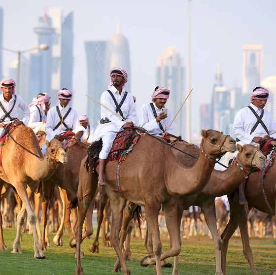 virus camello qatar