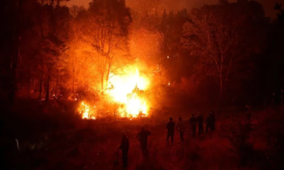 chilenos incendios forestales